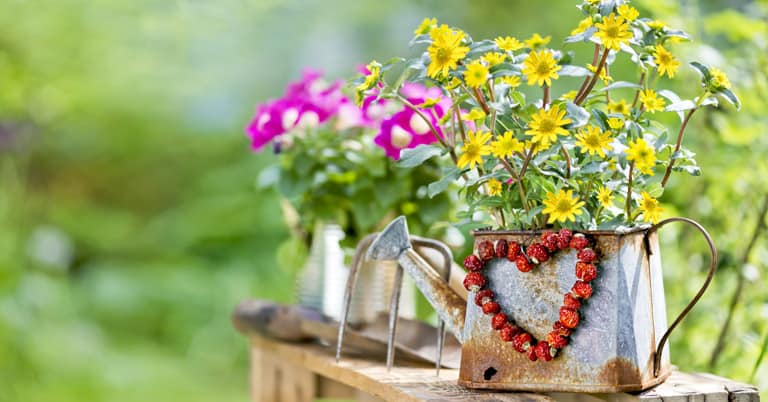 Flowers in a watering can